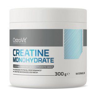 Креатин Моногідрат (Creatine Monohydrate) OstroVit у порошку, 300 г, Круг